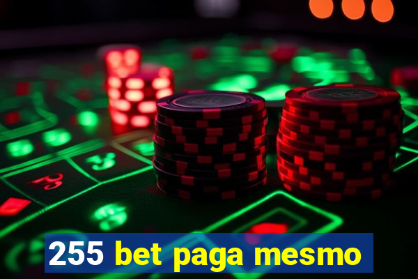 255 bet paga mesmo